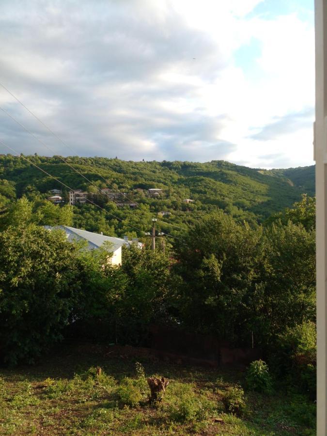 Hotel Pirosmani 66 à Sighnaghi Extérieur photo