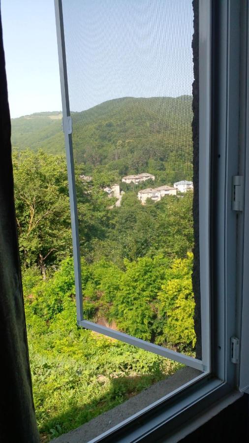 Hotel Pirosmani 66 à Sighnaghi Extérieur photo