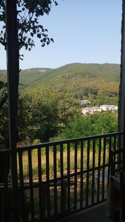 Hotel Pirosmani 66 à Sighnaghi Extérieur photo